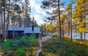 Awesome Home In Fyresdal With Kitchen
